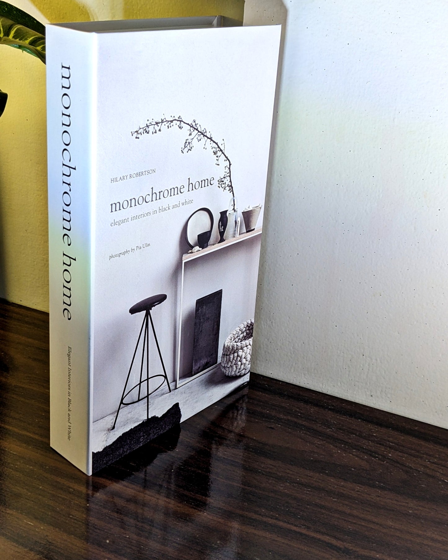 Decorative Books (Large)