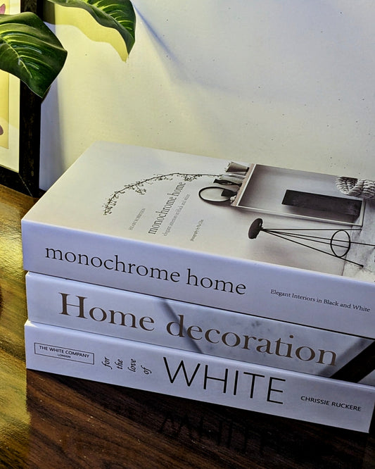Decorative Books (Large)
