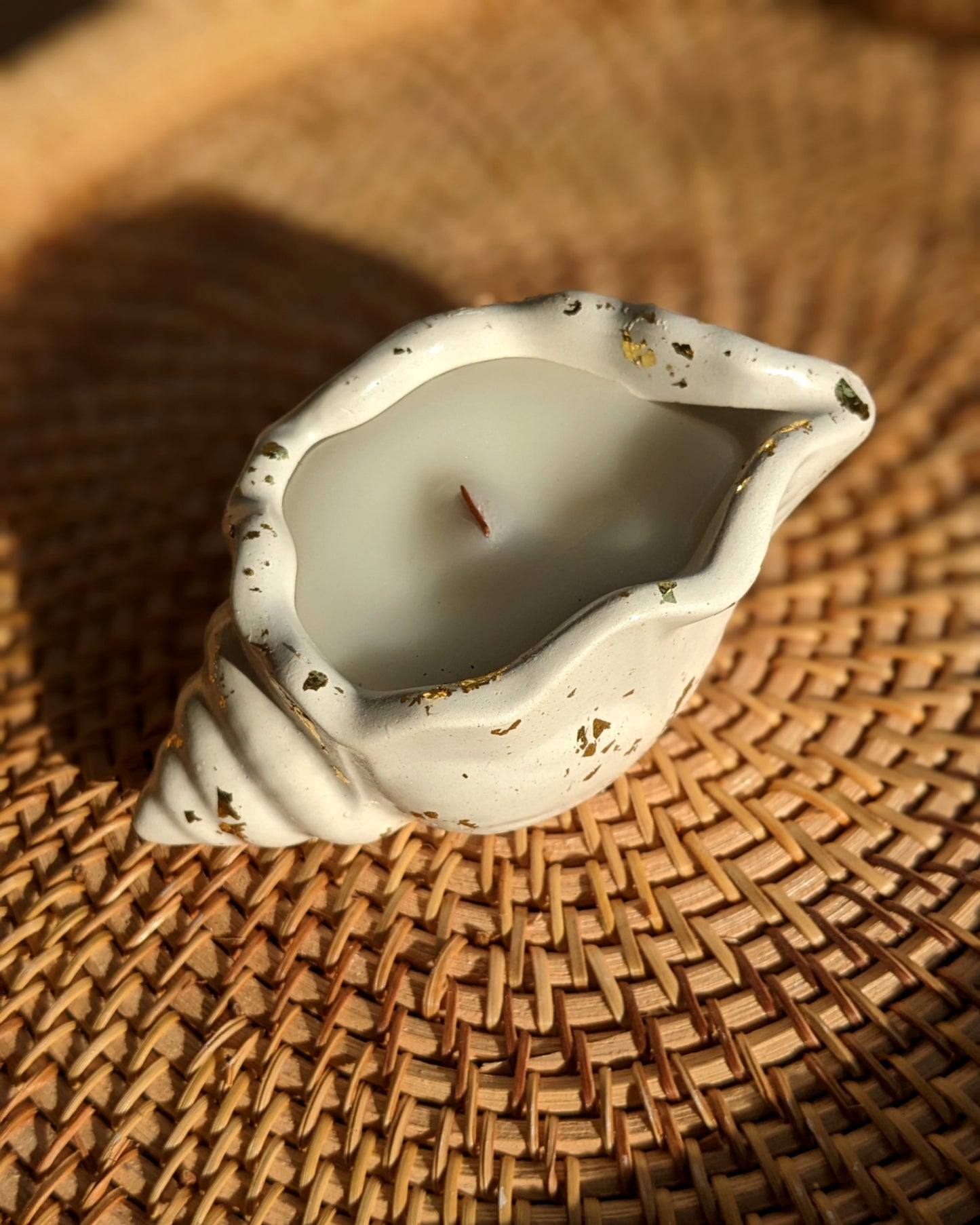 Shell Candle 🐚