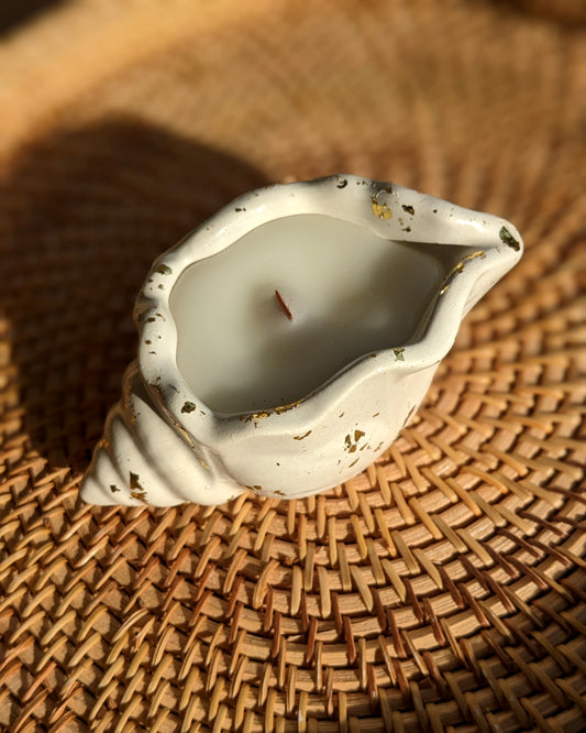 Shell Candle 🐚